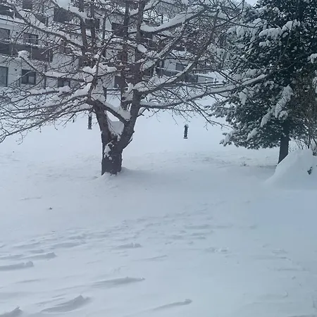 Fruehstueckspension Erika