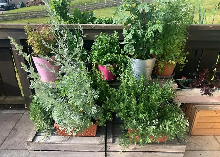 Accommodatie bij particulieren Fruehstueckspension Erika Schladming