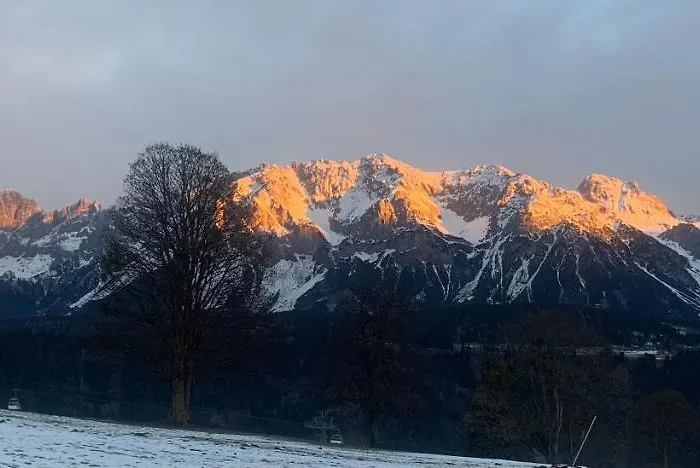 Fruehstueckspension Erika Accommodatie bij particulieren